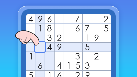 large sudoku book